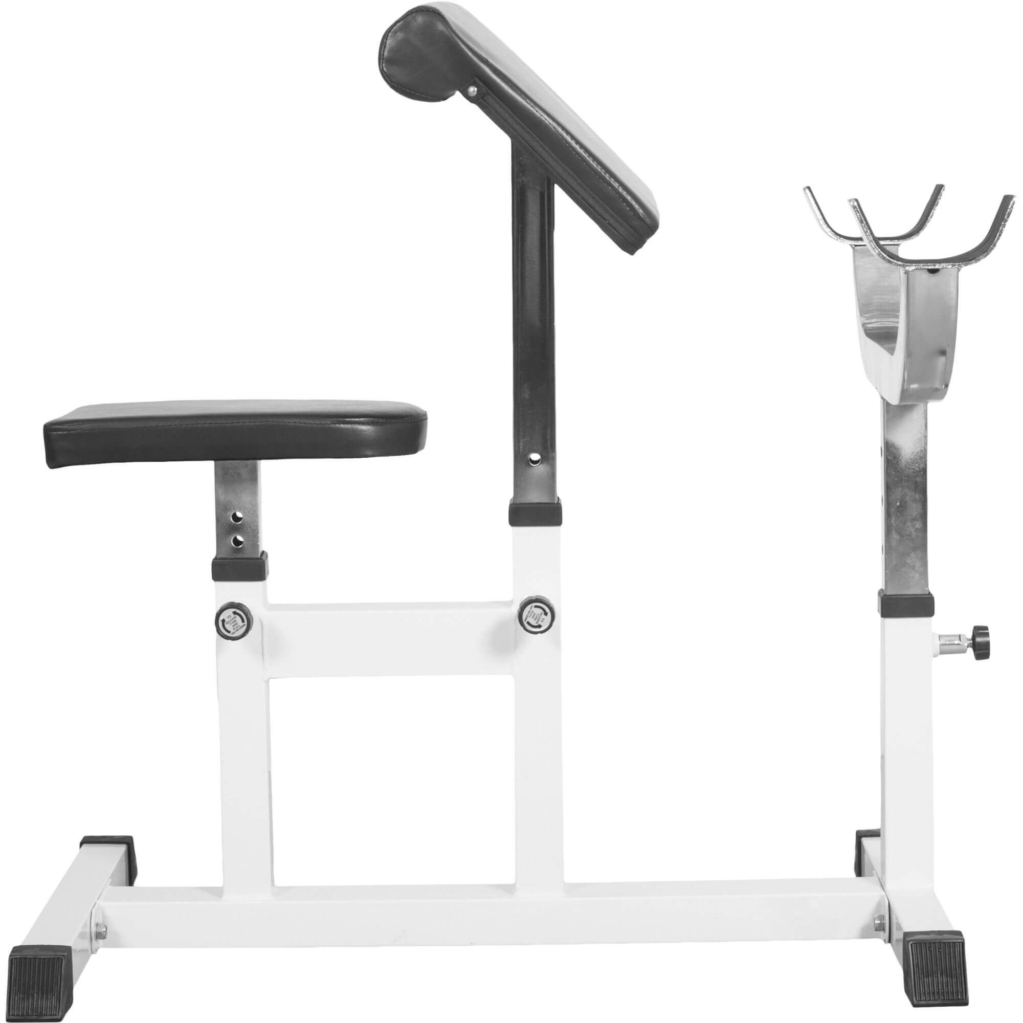 Sittande Curlbänk Preacher Curl
