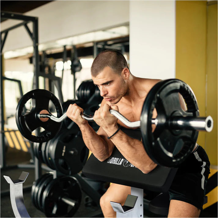 Sittande Curlbänk Preacher Curl