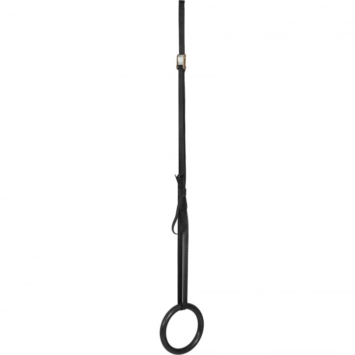 Olympiska Gymringar GS Trä Plast