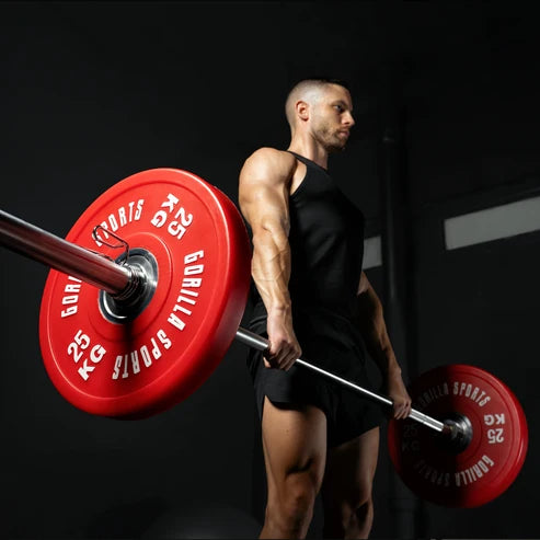 Skivstång PRO 220cm 50mm