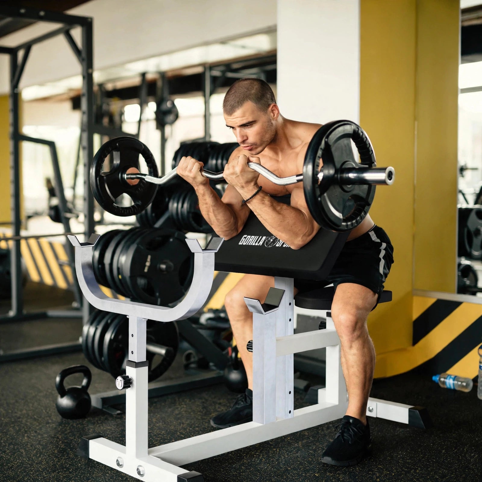Sittande Curlbänk Preacher Curl från Gorilla Sports