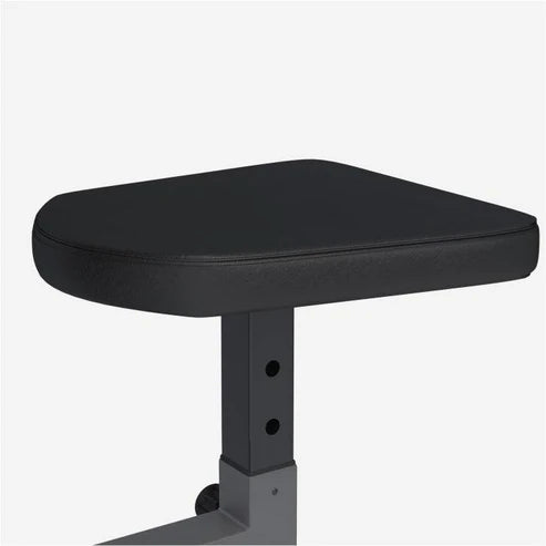 Preacher Curl E Series Curlbänk