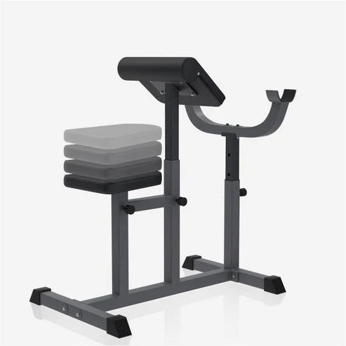 Preacher Curl E Series Curlbänk