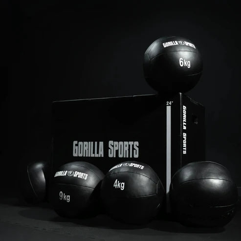 Wall Ball PRO 1-10kg