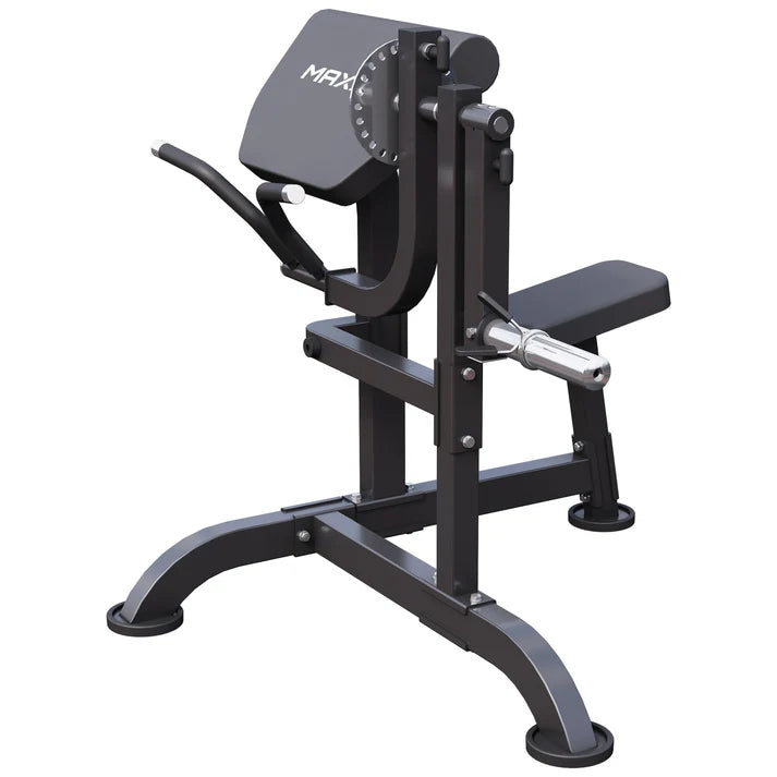 Curlbänk Preacher Curl MAXXUS