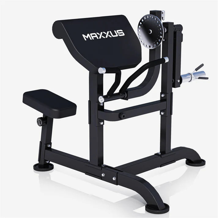 Curlbänk Preacher Curl MAXXUS
