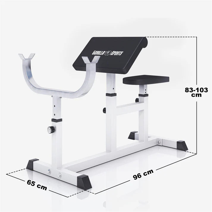 Sittande Curlbänk Preacher Curl