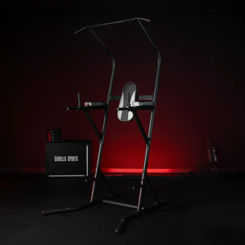 Power Tower Chins Pull Ups Dips