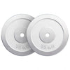Viktskivor CHROME 2x15kg