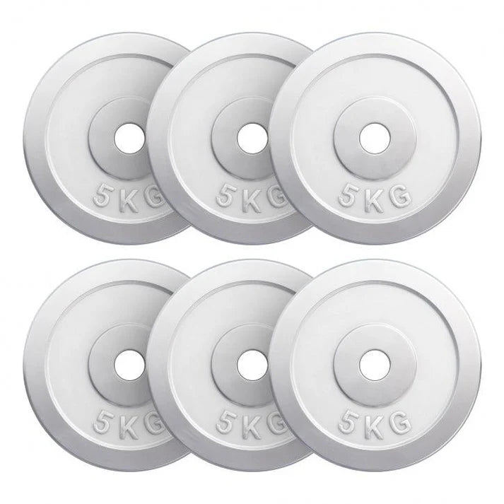 Viktskivor CHROME 6x5kg
