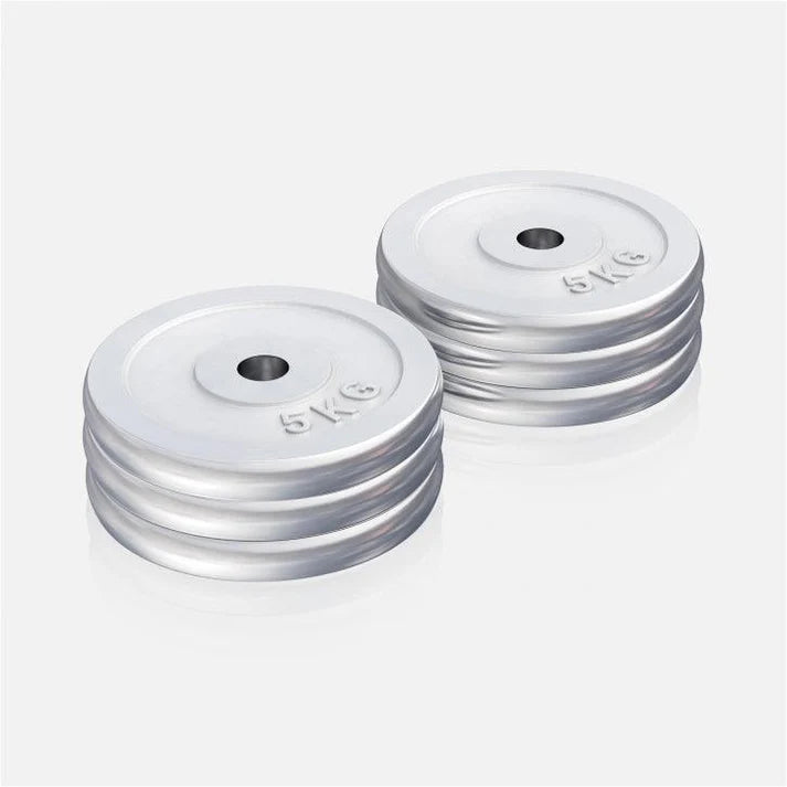 Viktskivor CHROME 6x5kg