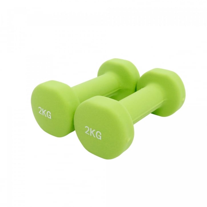 Hantlar Väska 12kg