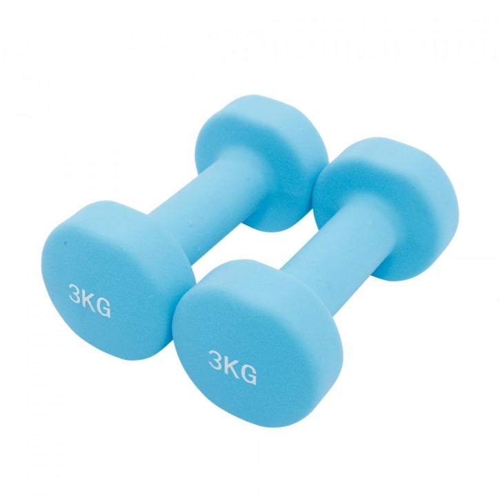 Hantlar Väska 12kg