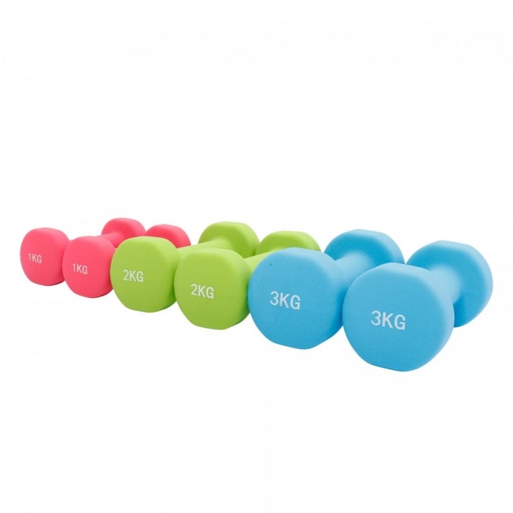 Hantlar Väska 12kg