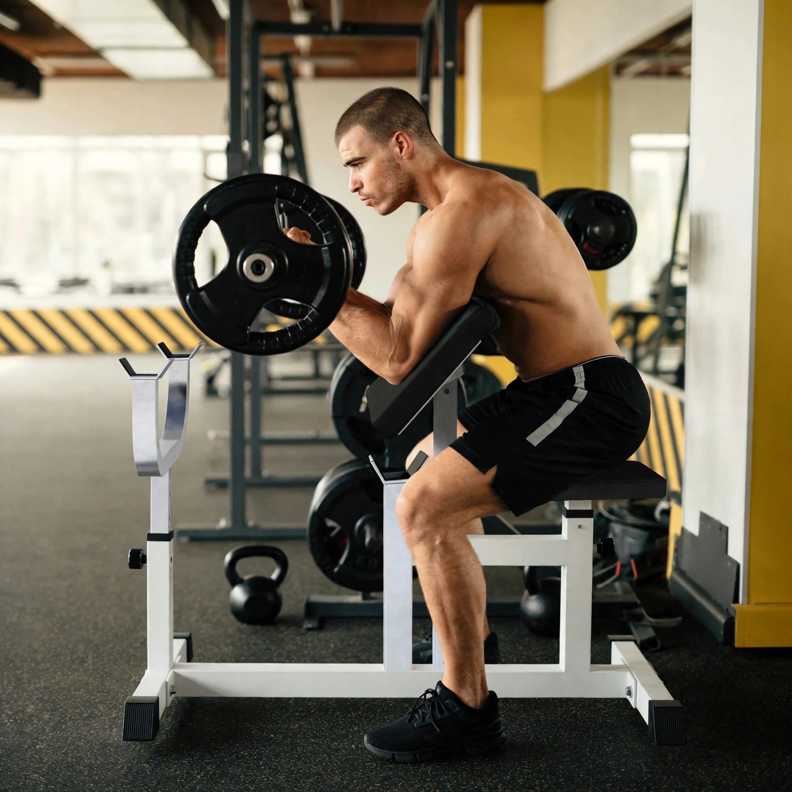 Sittande Curlbänk Preacher Curl