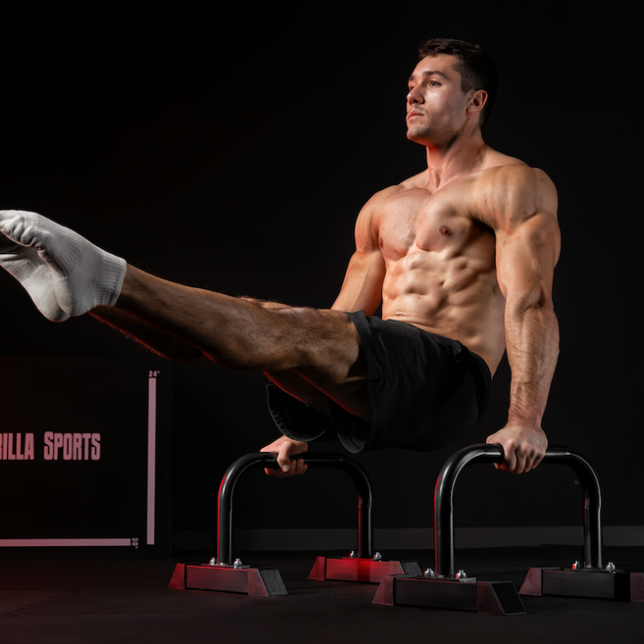 Parallettes Push Up Bars Low