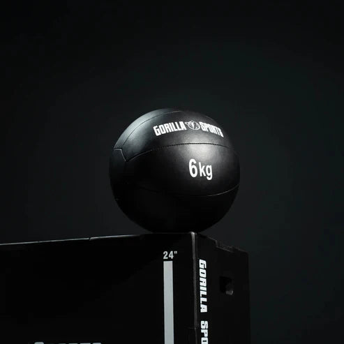 Wall Ball PRO 1-10kg