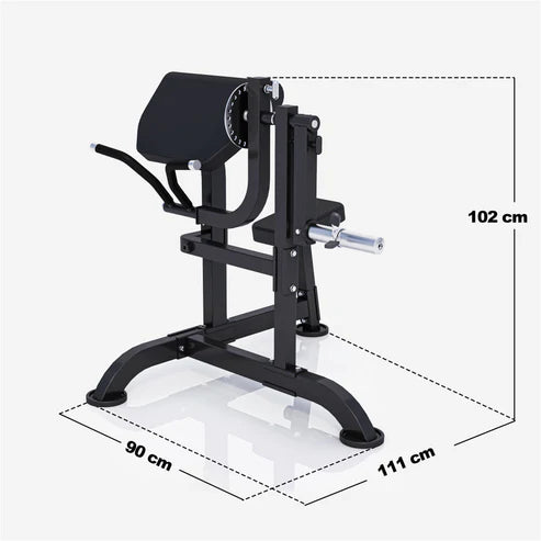 Curlbänk Preacher Curl MAXXUS