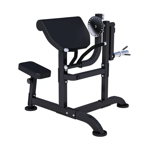 Curlbänk Preacher Curl MAXXUS