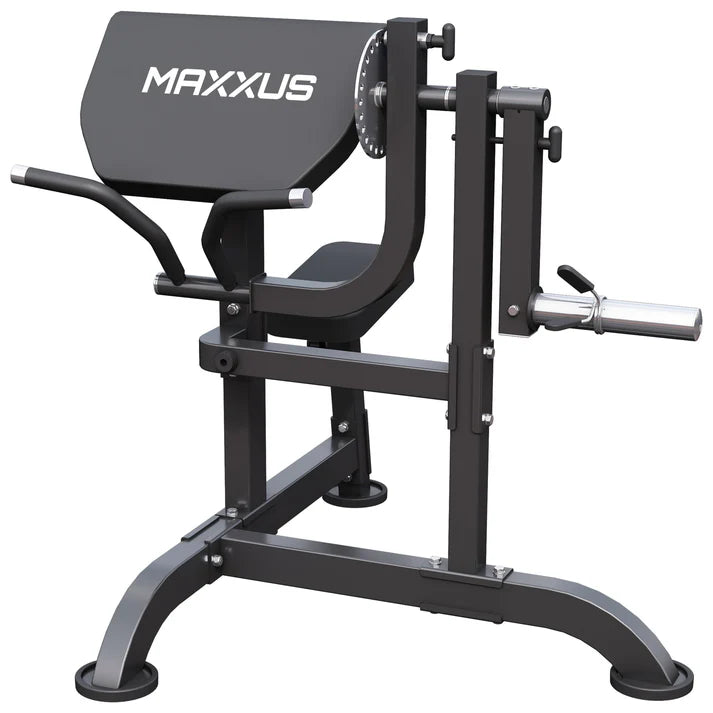Curlbänk Preacher Curl MAXXUS
