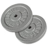 Viktskivor IRON Silver 2x15kg