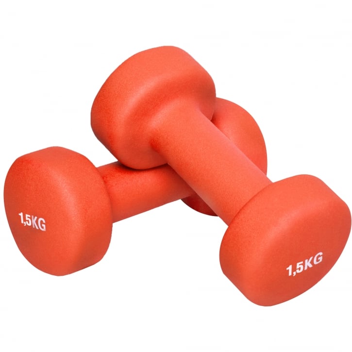 Hantlar Väska 10kg
